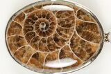 Fossil Ammonite Pendant - Million Years Old #205781-1